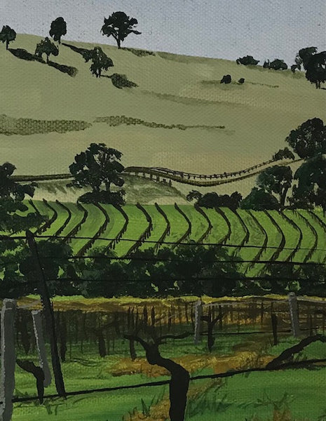 Hunter Valley Vineyards