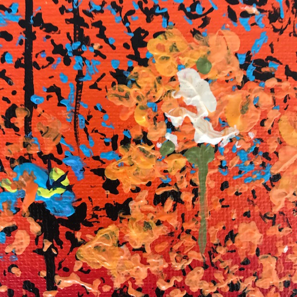 Closeup detail of the orange and white flowers